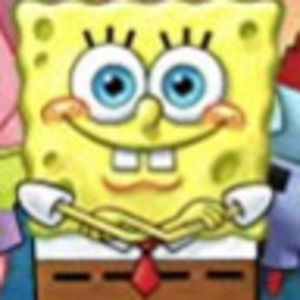 Meet your Posher, Peyton